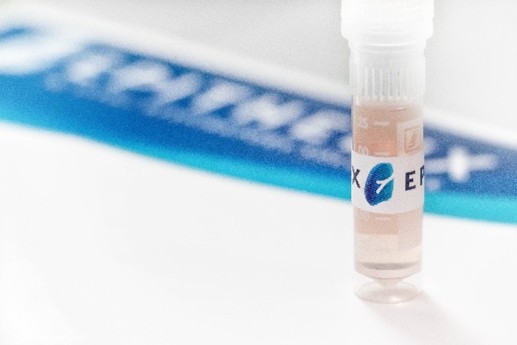 图3. Epithelix原代肺泡上皮细胞