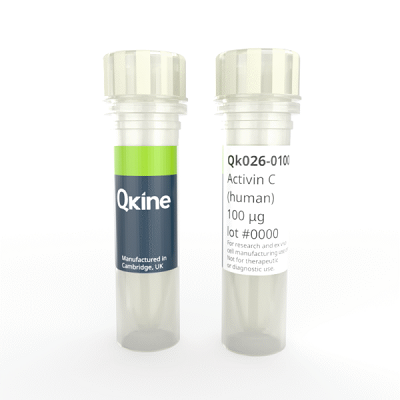 Qkine Activin C-Qk026|曼博生物代理