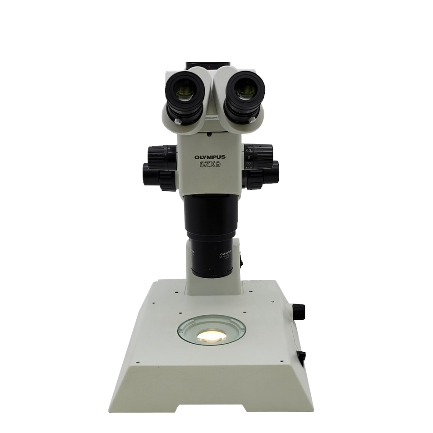 ���ְ�˹SZX9������΢�����LED����ӫ��ģ���������߳��о��еĽ������