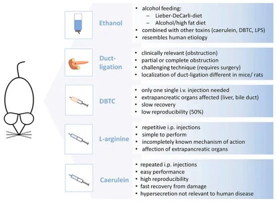 经典慢性胰腺炎模型-南模生物