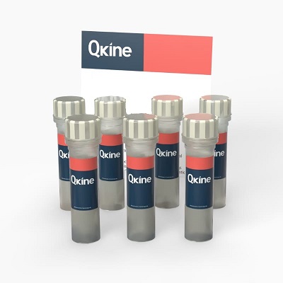 Qkine FGʳƷ��������ϵ