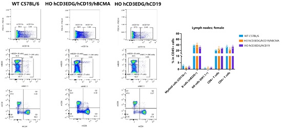Detection of immune cell subpopulations in the lymph nodes of 7-8-week-old female mice by FACS (n=2 or 3).