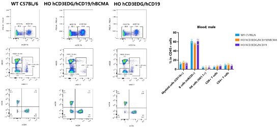 Detection of immune cell subpopulations in the blood of 7-8-week-old male mice by FACS (n=3 in all groups).