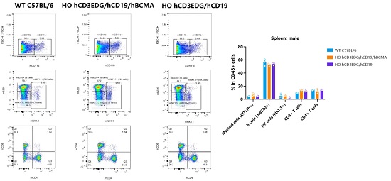 Detection of immune cell subpopulations in the spleen of 7-8-week-old male mice by FACS (n=3 in all groups).-南模生物