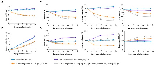 Semaglutide��Bimagrumab���ö�HFD�յ���DIOС�����أ�A������ʳ����B������ɷ֣�C-D����Ӱ��-��ģ����