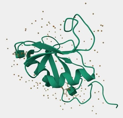 Lyve1蛋白结构。(数据源自Uniprot数据库)-南模生物