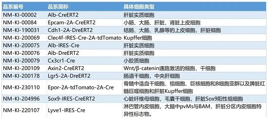 南模生物部分肝脏特异性表达的Cre/Dre重组酶工具鼠