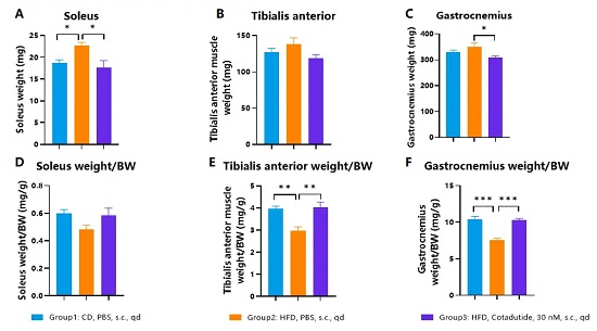 Muscle weights of HFD-induced hGCGR/hGLP1R obese mice treated with Cotadutide