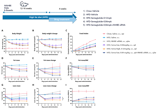 Semaglutide��INHBE siRNA���ö�HFD�յ���hINHBE DIOģ�͵�Ч������