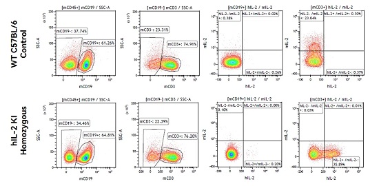 Intracellular staining of IL-2 by FACS post stimulation with anti-mCD3/anti-mCD28 (In collaboration with CrownBio).-南模生物