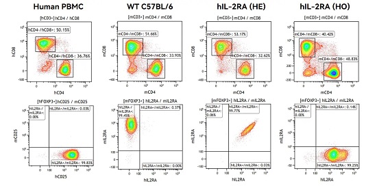 hlL-2RA is highly expressed on activated Tregs in spleen in the IL-2RA huamnzied mouse (In collaboration with CrownBio).-南模生物