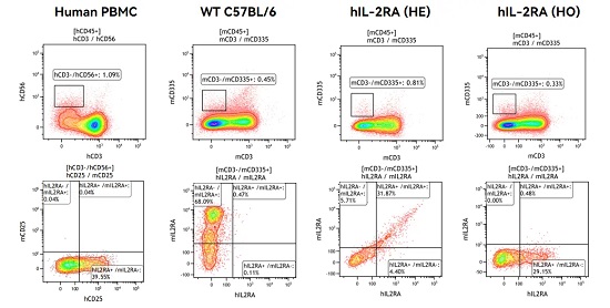 hlL-2RA is highly expressed on activated NK cells in spleen in the IL-2RA humanized mouse (In collaboration with CrownBio)-南模生物