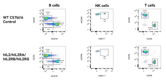 Immunotype in hIL2/hIL2RA/hIL2RB/hIL2RG qKI mice in Blood-南模生物