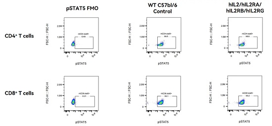 Detection of Signaling integrity in hIL2/hIL2RA/hIL2RB/hIL2RG qKI mice.-南模生物
