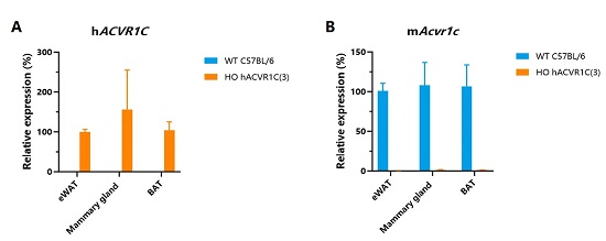 Detection of human ACVR1C (A) and mouse Acvr1c (B) expression in adipose tissues by qPCR-南模生物
