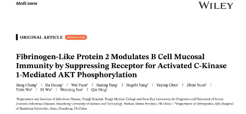 Fibrinogen-Like Protein 2 Modulates B Cell Mucosal Immunity by Suppressing Receptor for Activated C-Kinase 1-Mediated AKT Phosphorylation