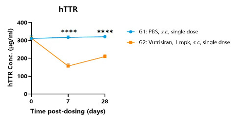 Detection of human TTR levels in serum from hTTR-V30M(p.V50M) knock-in mice-��ģ����