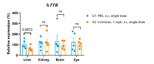 Detection of human TTR expression in liver, kidney, brain and eye tissues by qPCR-��ģ����