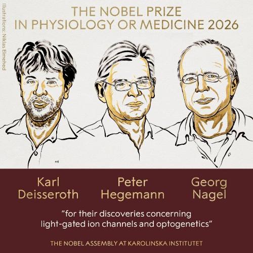 Karl Deisseroth��Peter Hegemann��Georg Nagel