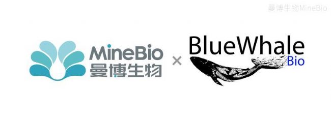 ��������Я��BlueWhale Bio�����й���½�ṩSynecta T1��Ʒ�����ط���֧��