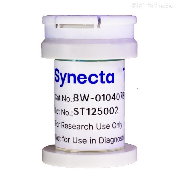 Synecta T1ϸ���������׿���