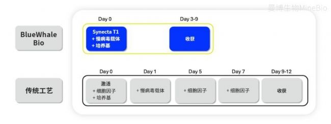 Synecta T1�봫ͳ��������Tϸ���Ĳ���ʾ��ͼ