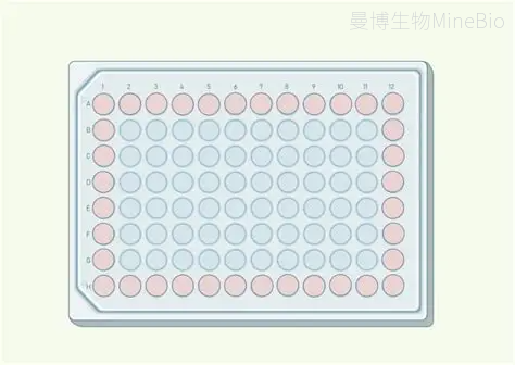 孔板边缘效应