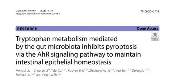 Microbiome | ����ũҵ��ѧʷӨ���Ŷ���Ahr-KOС��֤ʵ��������Ⱥɫ�����л��AhR����ϸ������-��ģ����