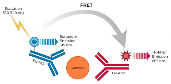 THUNDER™ TR-FRET ���ԭ�������� 615 nm ��������ת�������� 665 nm