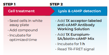 THUNDER™ cAMP ������̣�ϸ���̼��������������