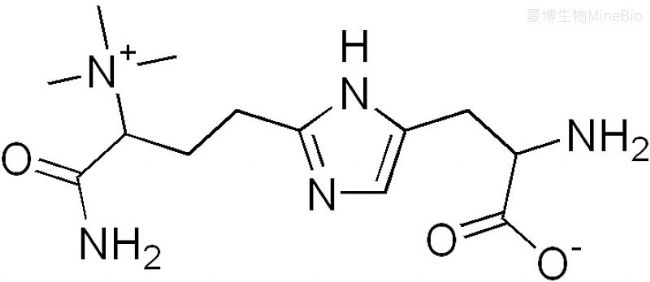 �׺�����Diphthamide�ṹ