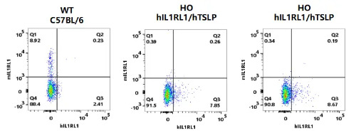 Exprssion analysis of of hIL1RL1 on Treg cells in spleen in male hIL1RL1/hTSLP (NM-XA-241614) mice-南模生物