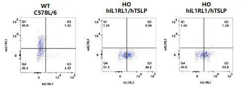 Expression of hIL1RL1 on FcεRIα+ cells in Bone marrow in male hIL1RL1/hTSLP (NM-XA-241614) mice-南模生物