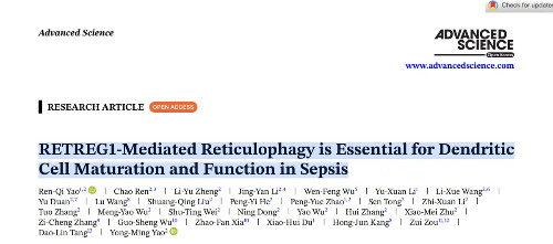 Adv Sci | 解放军总医院姚咏明团队用Retreg1基因敲除小鼠证实,内质网自噬维持脓毒症中树突状细胞的成熟与功能