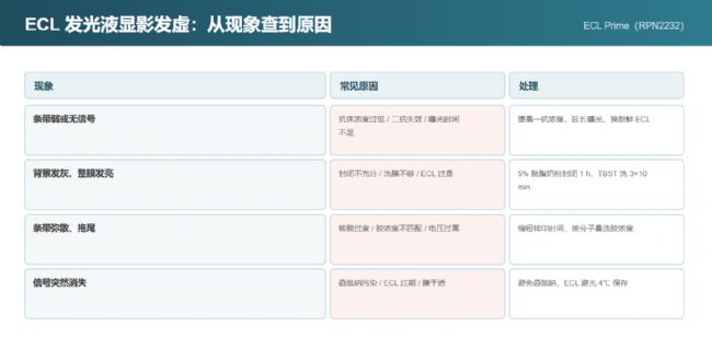 WB 显影异常的常见现象、成因与对应处理动作