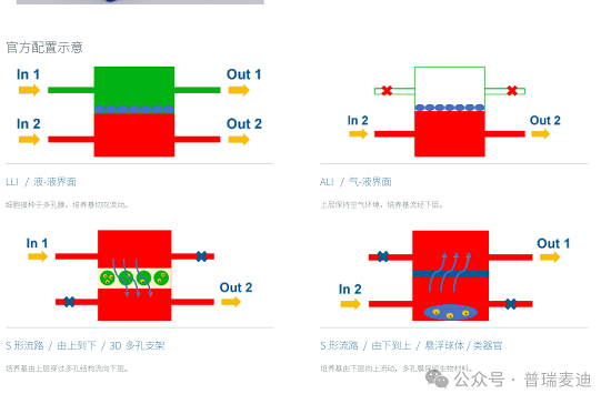 四种配置改变的是界面与流向:LLI 保持双侧液体,ALI 让上层暴露空气,两条 S 形流路分别服务支架和悬浮培养。图源:IVTech 官方产品资料。