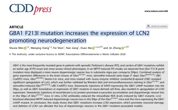 Cell Death Differ������ҳ ��ͻ��С����LCN2����Ԫ��ʧ-��ģ����