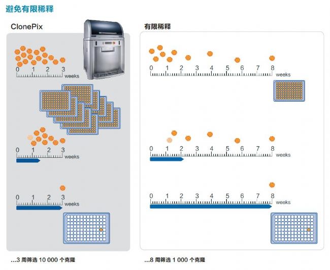 细胞克隆筛选系统