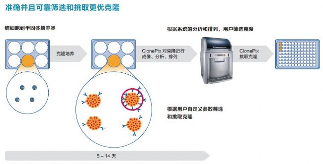 细胞克隆筛选系统