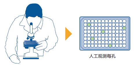 细胞生长分析