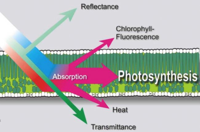 模块式植物表型成像分析系统 性能参数 报价 价格 图片 中国生物器材网