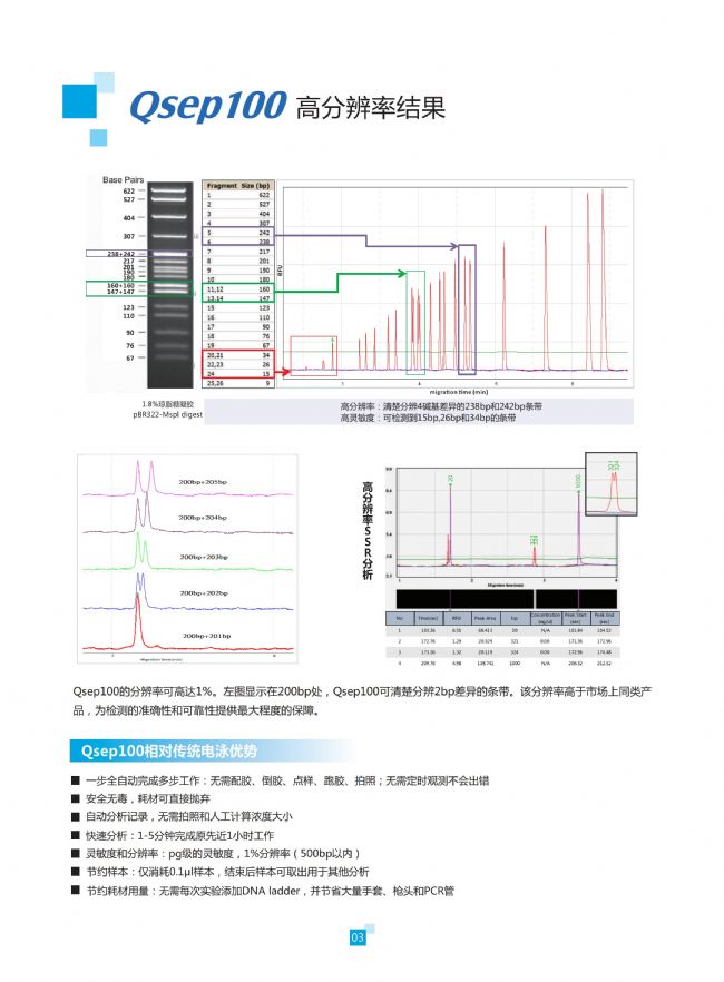 全自动核酸蛋白分析系统