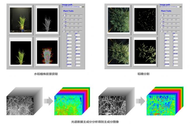 表型数据分析平台-植物表型成像系统_报价/价格/性能参数/图, 湖北武汉/谷丰光电_生物器材网