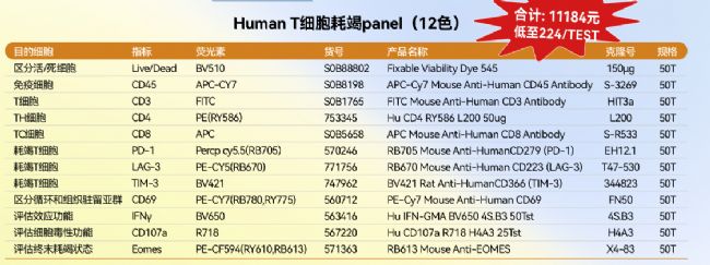 ���������о�����׼����ʽPanel�ϼ�-Tϸ���Ľ�