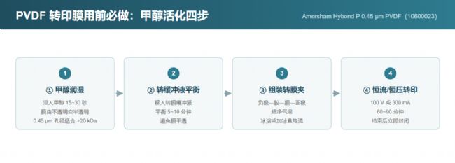 PVDF 膜上机前必做的甲醇活化四步,以及每步的判据