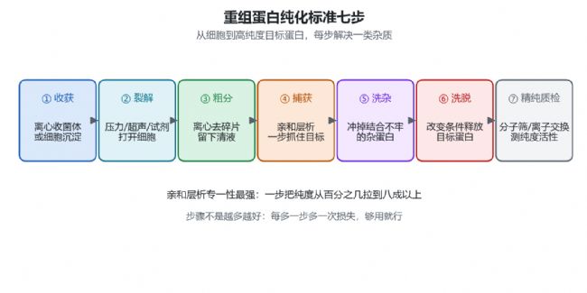 从细胞收获到精纯质检的完整链路