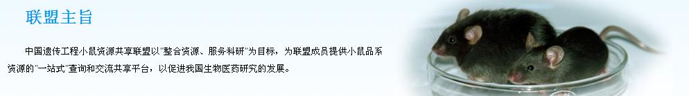 联盟主旨