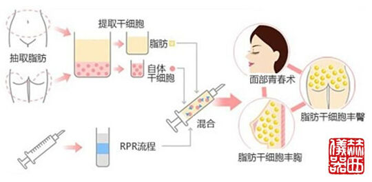 ���������ɹ�����PRP�������Ļ�
