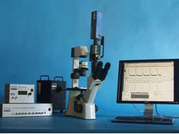 IonOptix�ļ�ϸ�������о�ƽ̨
