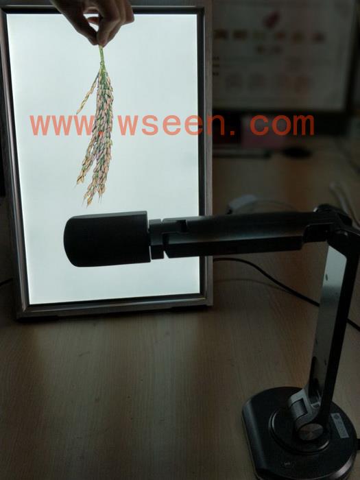 SC-K��ˮ�������볤-����-��Ҷ���Զ�������